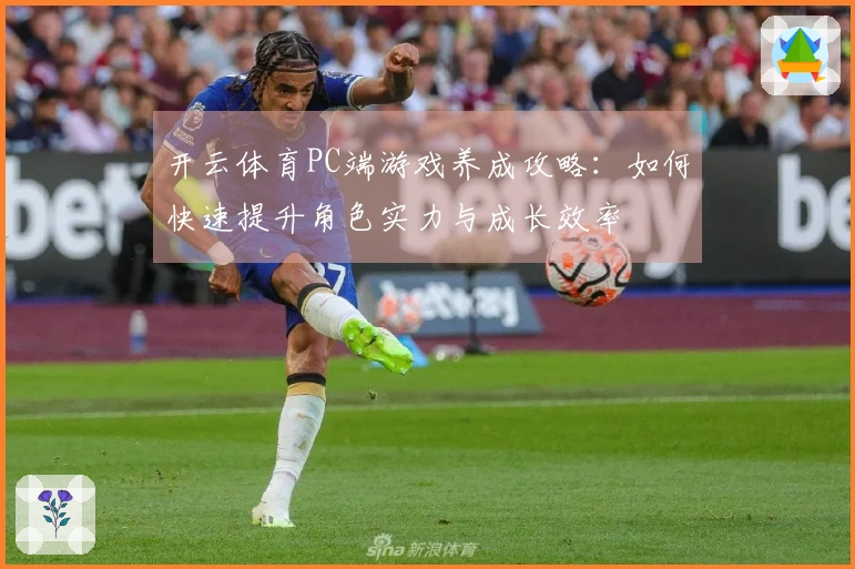 开云体育PC端游戏养成攻略：如何快速提升角色实力与成长效率