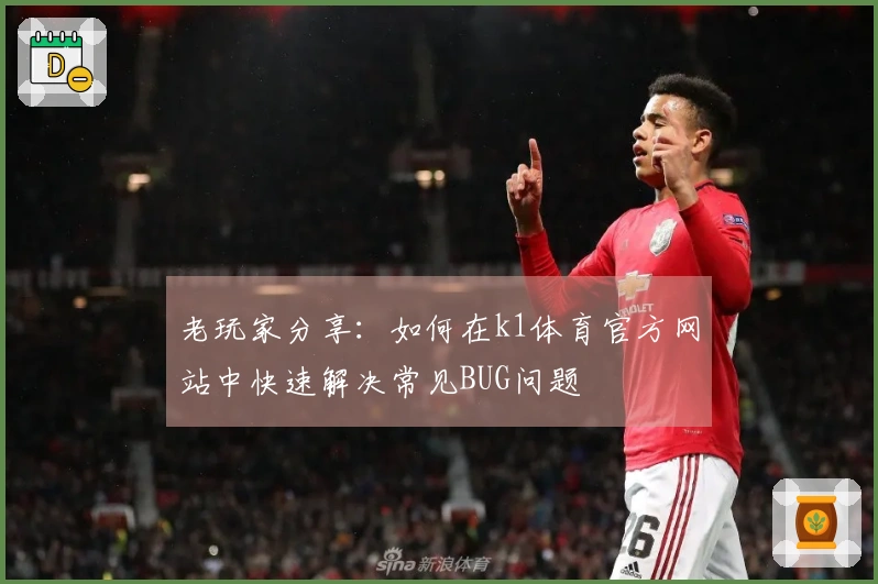 老玩家分享：如何在k1体育官方网站中快速解决常见BUG问题